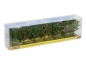 Preview: NOCH 25090 Obstbäume, grün, 7 Stück, ca. 8 cm hoch