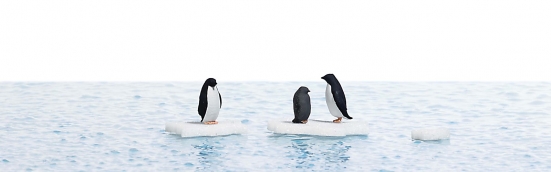 BUSCH 7923 H0 Pinguine auf Eisschollen