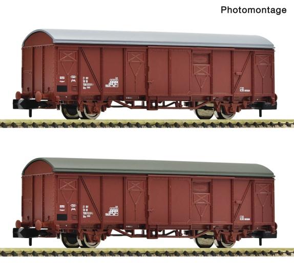 Fleischmann 6660218 N Gedeckte Güterwagen, DR 2er-Set 