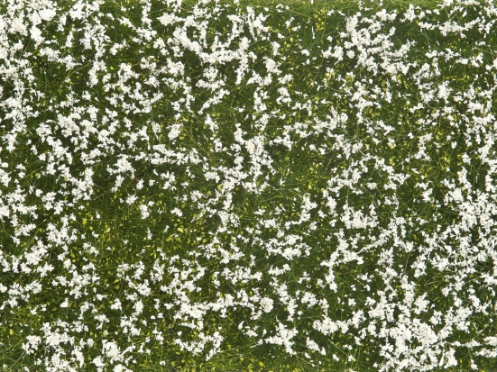 NOCH 07256 Bodendecker-Foliage Wiese weiß , 12 x 18 cm