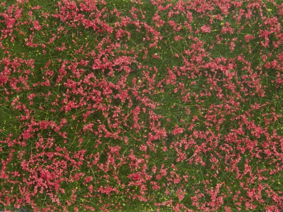 NOCH 07257 Bodendecker-Foliage Wiese rot , 12 x 18 cm