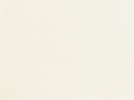 Preview: NOCH 61190 Acrylfarbe matt, weiß 90 ml