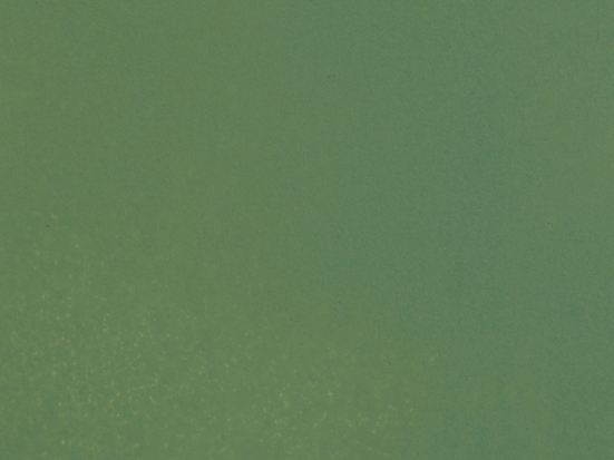 Preview: NOCH 61194 Acrylfarbe matt, hellgrün 90 ml