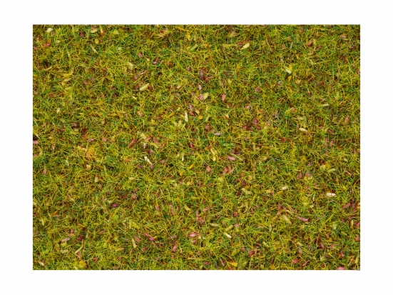 NOCH 08330 Streugras Blumenwiese, 2,5 mm, 20g Beutel