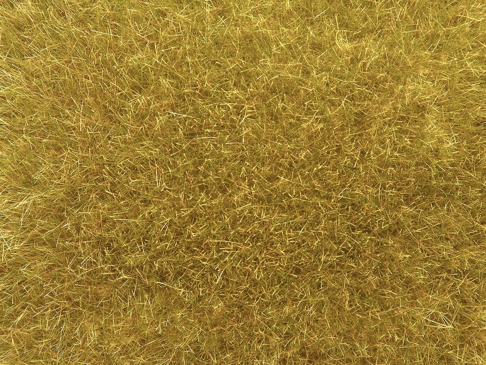NOCH 07119 Wildgras gold-gelb, 9 mm, 50g Beutel