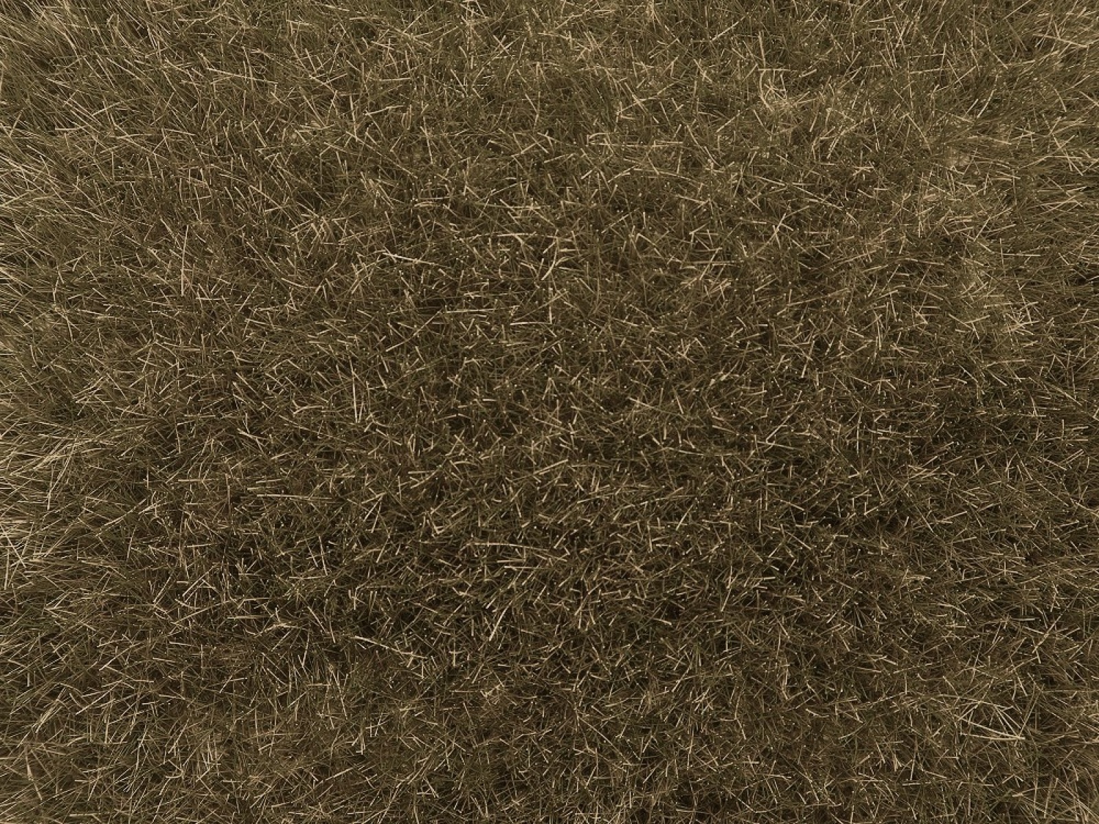 NOCH 07122 Wildgras braun, 9 mm, 50g Beutel 