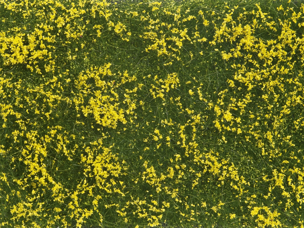 NOCH 07255 Bodendecker-Foliage Wiese gelb , 12 x 18 cm