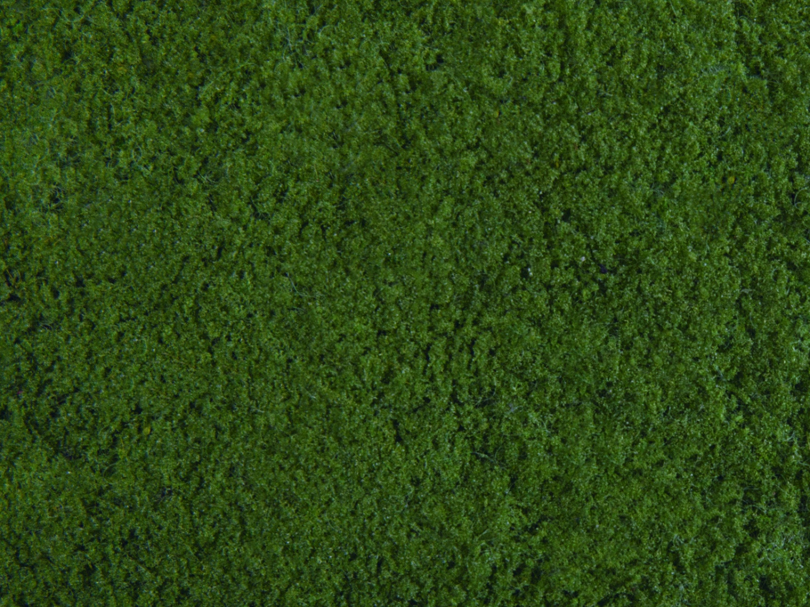 NOCH 07271 Klassische-Foliage dunkelgrün, 20 x 23 cm 