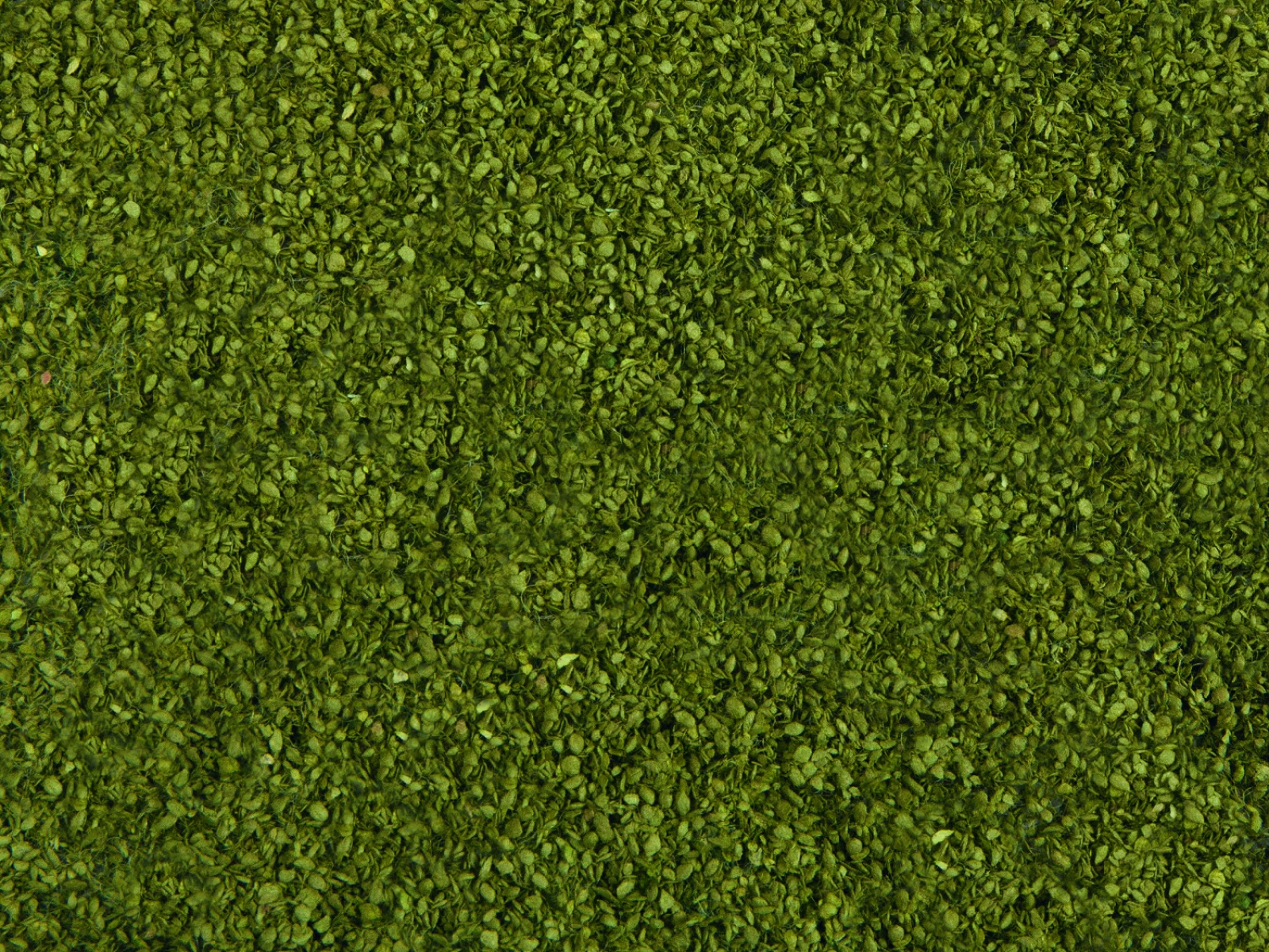 NOCH 07300 Laub-Foliage mittelgrün, 20 x 23 cm 