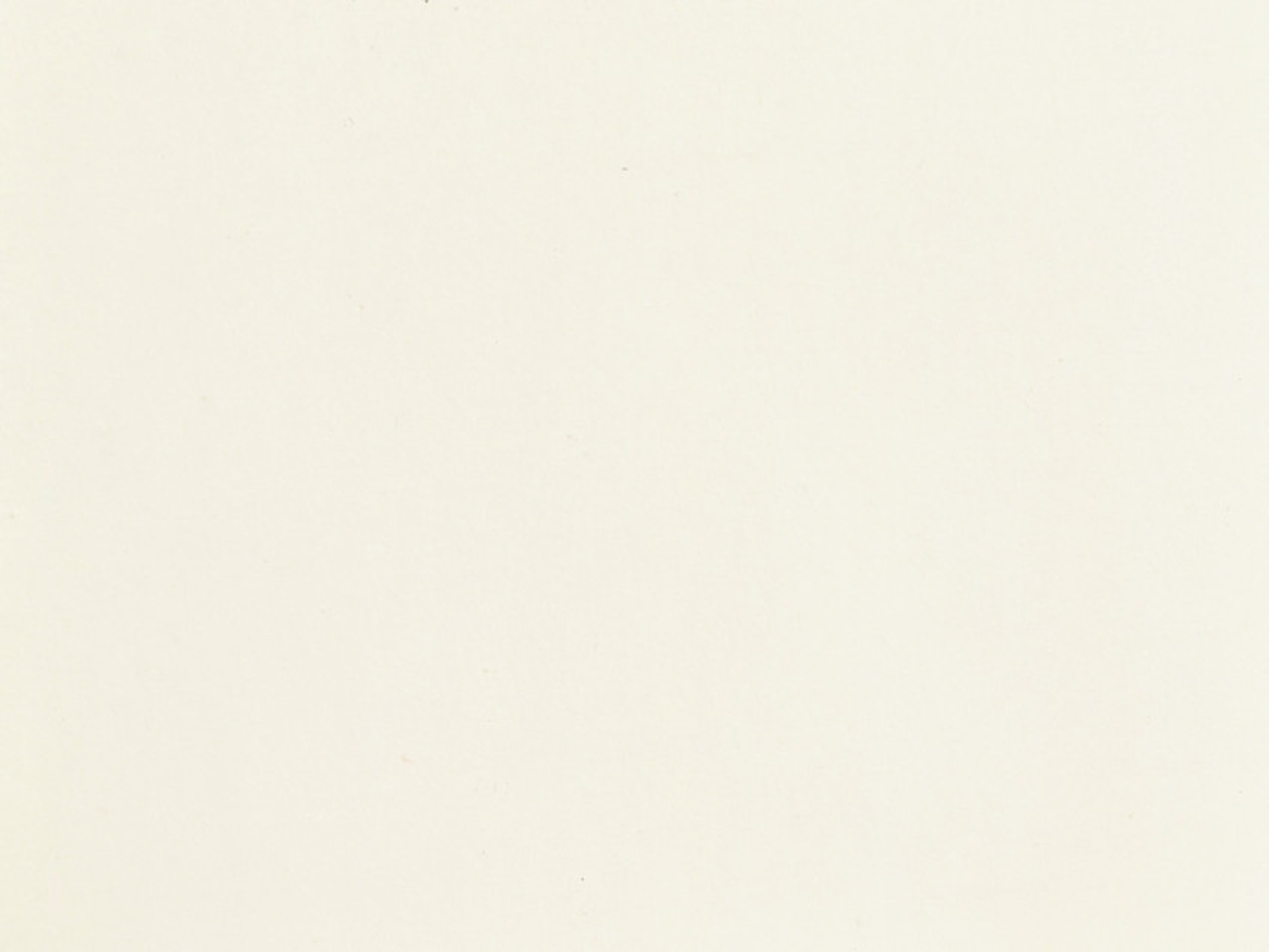 NOCH 61190 Acrylfarbe matt, weiß 90 ml 