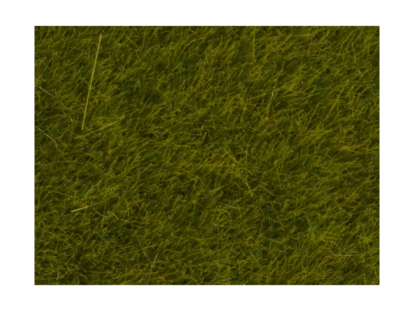 NOCH 07100 Wildgras, Wiese, 6 mm, 50g Beutel 