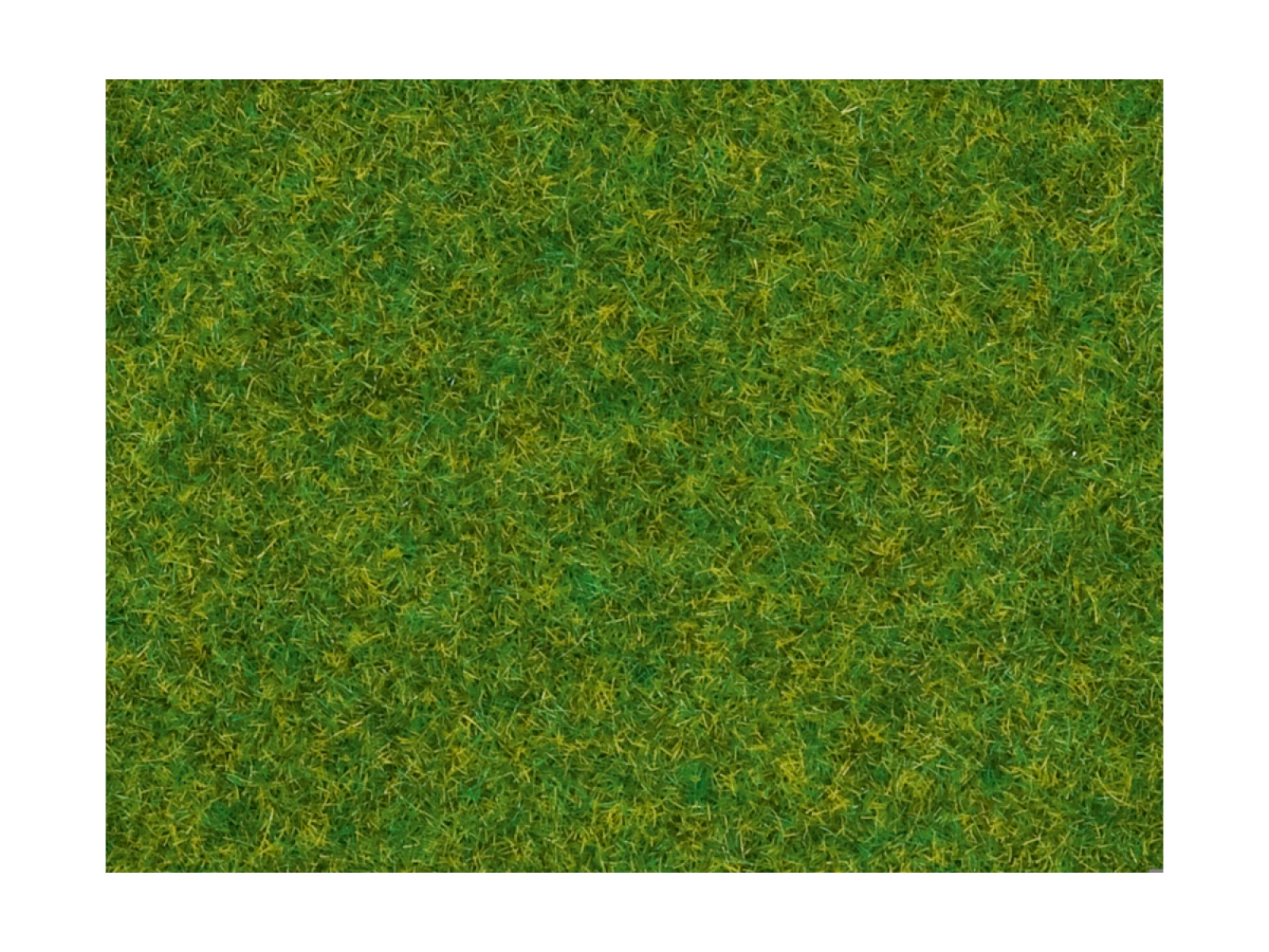 NOCH 08214 Streugras Zierrasen, 1,5 mm, 20g Beutel 