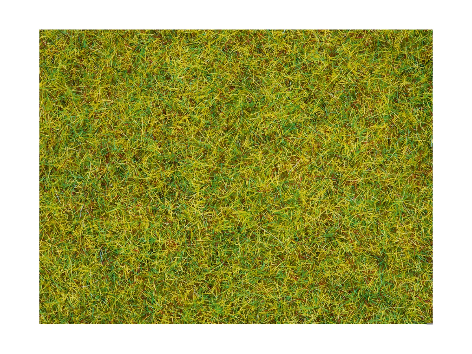 NOCH 08310 Streugras Sommerwiese, 2,5 mm, 20g Beutel 