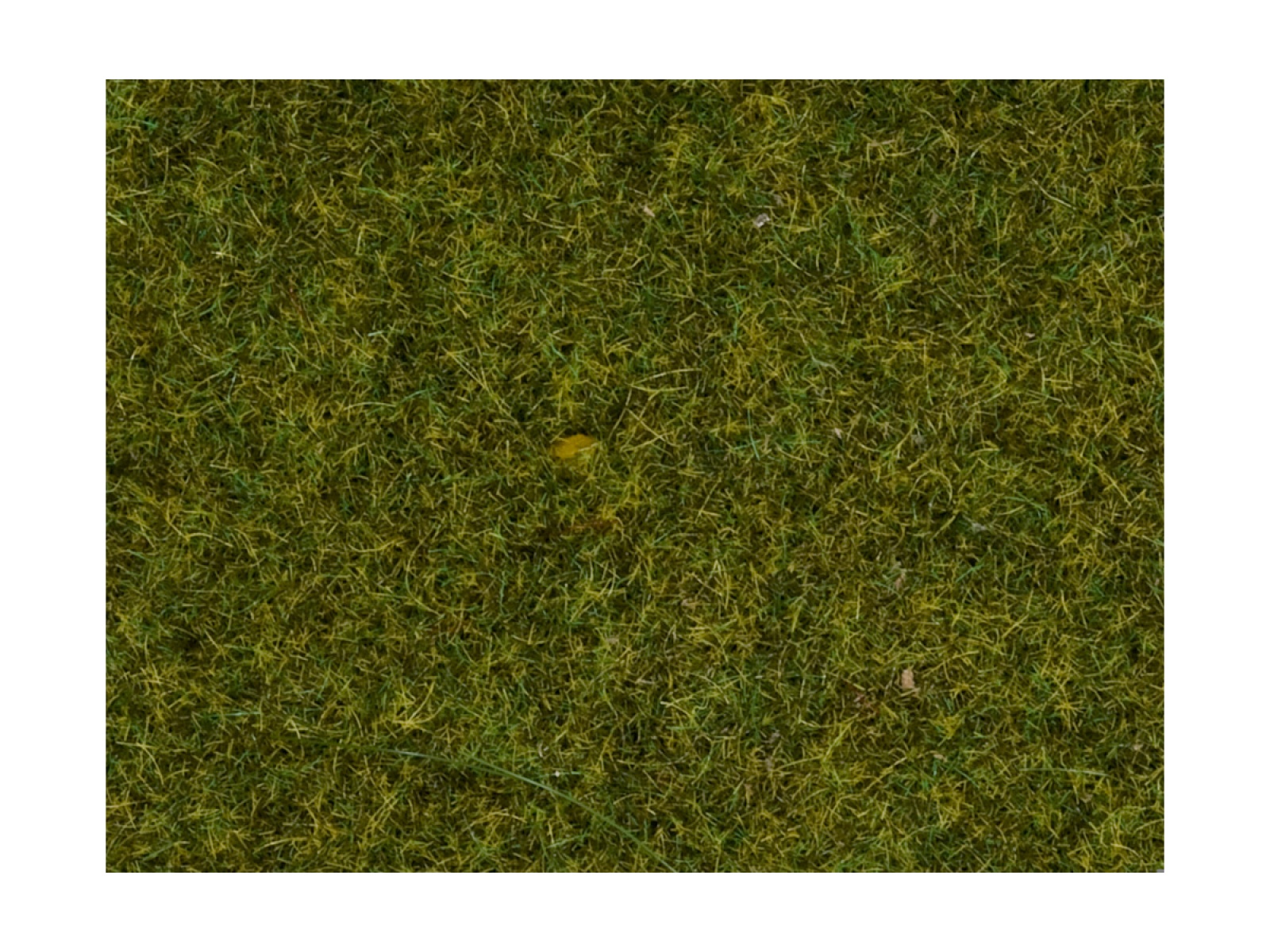 NOCH 08312 Streugras Wiese, 2,5 mm, 20g Beutel 