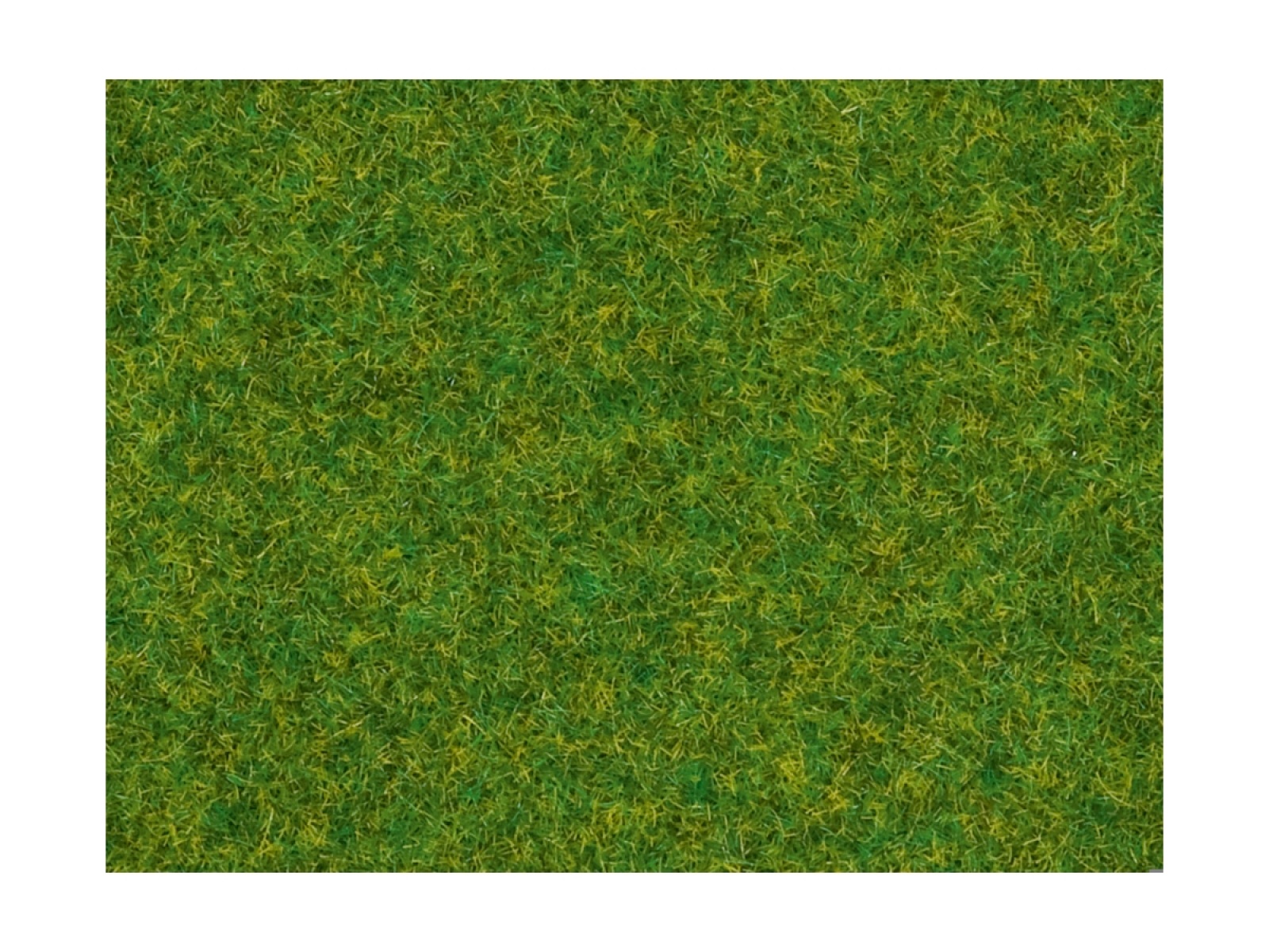 NOCH 08314 Streugras Zierrasen, 2,5 mm, 20g Beutel 