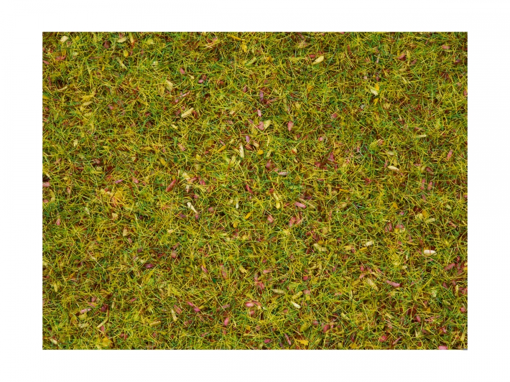 NOCH 08330 Streugras Blumenwiese, 2,5 mm, 20g Beutel