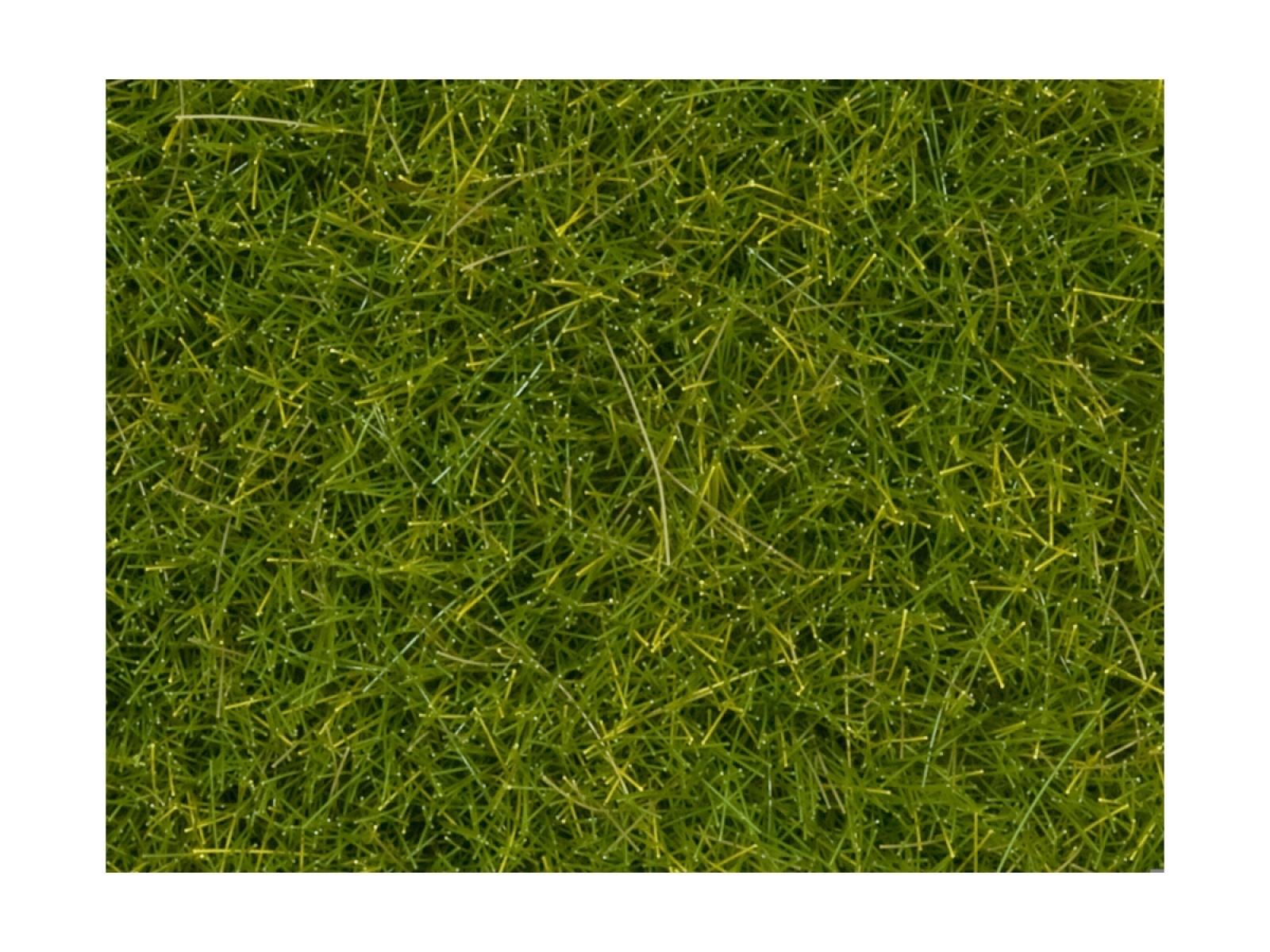 NOCH 07112 Wildgras XL hellgrün, 12 mm, 40g Beutel 