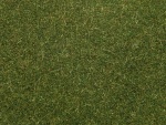 NOCH 08364 Streugras mittelgrün, 4 mm, 20g Beutel 