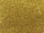 NOCH 07119 Wildgras gold-gelb, 9 mm, 50g Beutel 