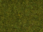 NOCH 50220 Streugras Wiese 2,5 mm, 100g Beutel 