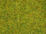 NOCH 50190 Streugras Sommerwiese 2,5 mm, 100g Beutel 