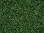NOCH 50200 Streugras Moorboden 2,5 mm, 100g Beutel 