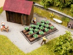 NOCH 13217 H0 Weißkohl Deko-Minis 