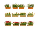 NOCH 14009 H0 Blumenkästen blühend rot, weiß und gelb 