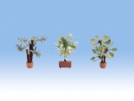 NOCH 14023 H0 Mediterrane Pflanzen