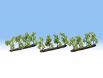 NOCH 21535 N/Z Plantagenbäume 24 Stück, 2 cm hoch