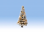 NOCH 22120 H0/TT/N Beleuchteter Weihnachtsbaum verschneit , mit 20 LEDs, 8cm hoch