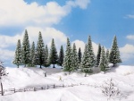 NOCH 24683 H0/TT/N/Z Schneetannen 16 Stück, 4-10 cm hoch 
