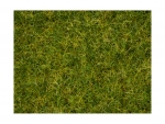 NOCH 07072 Master-Grasmischung Sommerwiese, 2,5 bis 6 mm , 50g Beutel