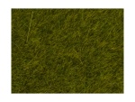 NOCH 07100 Wildgras, Wiese, 6 mm, 50g Beutel 