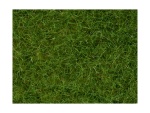 NOCH 07102 Wildgras, hellgrün, 6 mm, 50g Beutel 