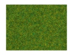 NOCH 08214 Streugras Zierrasen, 1,5 mm, 20g Beutel 