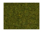 NOCH 08312 Streugras Wiese, 2,5 mm, 20g Beutel 