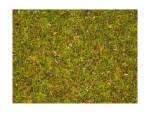 NOCH 08330 Streugras Blumenwiese, 2,5 mm, 20g Beutel 