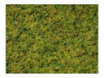 NOCH 07073 Master-Grasmischung Kuhweide, 2,5 bis 6 mm , 50g Beutel