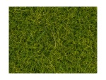 NOCH 07112 Wildgras XL hellgrün, 12 mm, 40g Beutel 