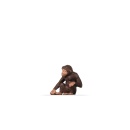 Preiser 29527 H0 Schimpanse 