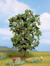 NOCH 21800 H0/TT/N Kastanie, 19 cm hoch 